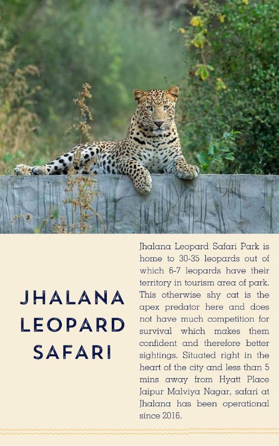 Hyatt Place Jaipur Malviya Nagar Ngoại thất bức ảnh Jhalana Leopard